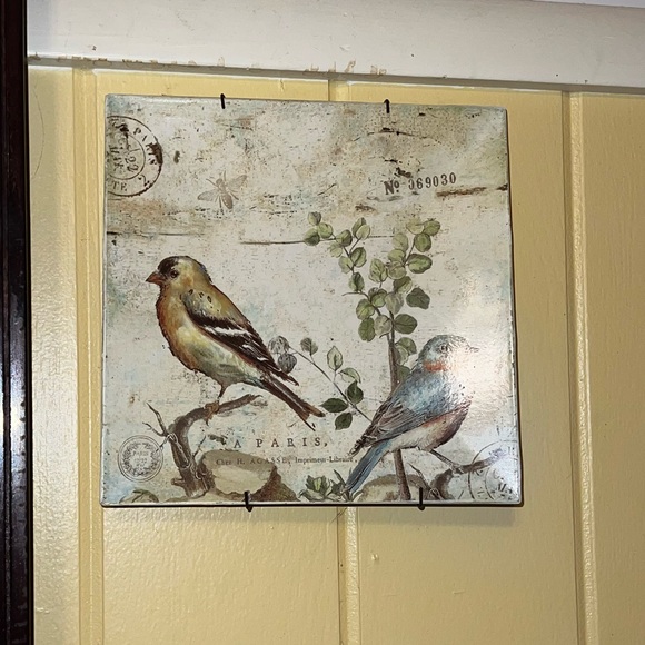 ⭐️Outdoor Living Bird Art Print Square Plate Decor Hobby Lobby - Picture 3 of 7